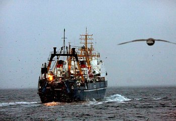 13 июля – День рыбака