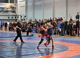 В Мурманске проходит Всероссийский турнир по спортивной борьбе "Северное сияние"