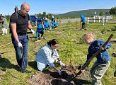Региональные парламентарии приняли участие в акции "Сад памяти"
