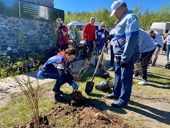 В Мурманской области продолжается акция «Сад памяти»