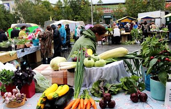 В Апатитах прошла традиционная ярмарка "Урожай-2018"