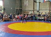 В Мурманске прошел турнир для юных борцов