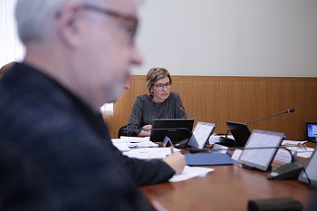 В областной Думе прошло заседание комитета по образованию, науке, культуре, делам семьи, молодежи и спорту под председательством Ларисы Кругловой