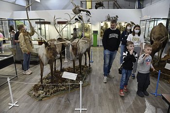 В Мурманске прошла всероссийская акция "Ночь музеев"