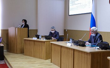 В Думе прошло заседание комитета по бюджету, финансам и налогам под председательством Бориса Пищулина