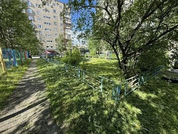 Работы по покосу травы выполнены возле домов 7 и 9 по улице Гвардейская, 19 и 21 по улице Ленина, 72, 74 и 76 по проспекту Ленина, 3 по улице Самойловой