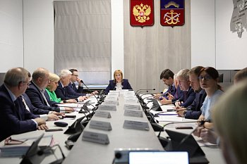 Депутаты одобрили принятие корректировки в областной закон о бюджете