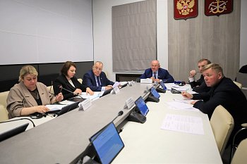 Депутаты поддержали законопроект о предоставлении земельных участков матерям-героиням