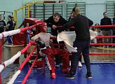 В областном центре проходят чемпионат и первенство Мурманской области по кикбоксингу "Памяти Элины Гисмеевой"
