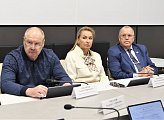 Состоялось заседание комитета по культуре, молодежной политике, туризму и спорту под председательством Ларисы Кругловой 