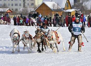 Депутат областной Думы Александр Шестак принял участие в торжественном открытии соревнований по национальным видам спорта в Ловозере 