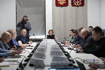 В областной Думе прошло заседание комитета по культуре, молодежной политике, туризму и спорту под председательством Ларисы Кругловой