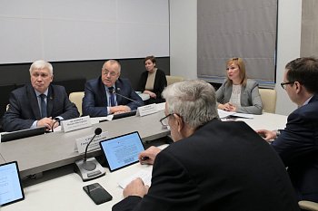 Прошло заседание комитета по бюджету, финансам, налогам и экономике под председательством Ирины Просоленко 