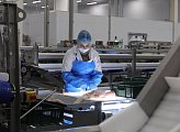 В Коле открыт новый завод по переработке рыбы