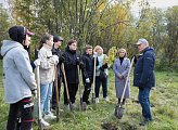 На территории мурманской школы-интерната высадили кустарники