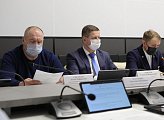 В областной Думе прошло заседание комитета по культуре, молодежной политике, туризму и спорту под председательством Ларисы Кругловой