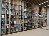 Поддержка участников СВО и членов их семей – ключевое направление работы региональной власти