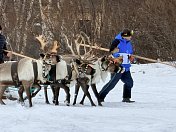 В Ловозере состоялись соревнования по национальным видам спорта 