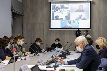 В областной Думе прошло заседание комитета по образованию, науке, культуре, делам семьи, молодежи и спорту под председательством Ларисы Кругловой