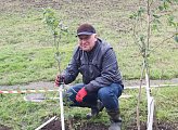 В Мурманске прошла акция «Зеленый рекорд»